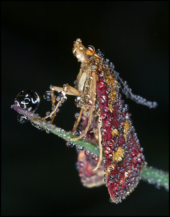      8162.abc4web.jpg